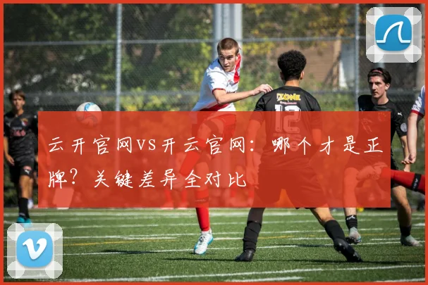 云开官网vs开云官网：哪个才是正牌？关键差异全对比