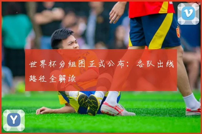 世界杯分组图正式公布：各队出线路径全解读