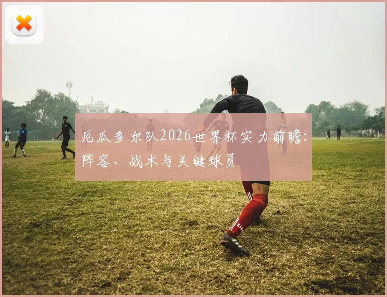 厄瓜多尔队2026世界杯实力前瞻：阵容、战术与关键球员