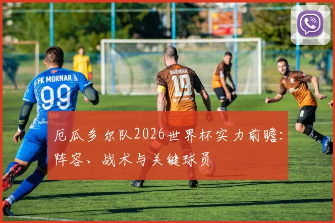 厄瓜多尔队2026世界杯实力前瞻：阵容、战术与关键球员